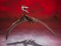 S.H. MonsterArts Rodan (2021) The Second Form
