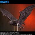 Rodan 2019