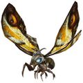 Mothra 2019 in Godzilla Battle Line