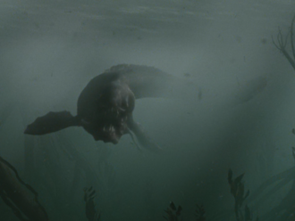 Piranhadon in the extended version of King Kong (2005)