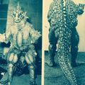 Front and back views of the completed Varan suit