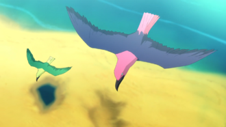 The Flashgulls in Skull Island