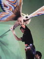The Eternal Mothra prop behind the scenes