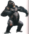 A Megaprimatus kong