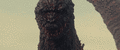 Godzilla walks forward