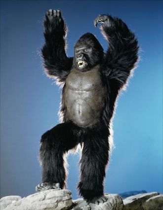 King Kong in King Kong Lives