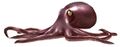 Giant Octopus 1962