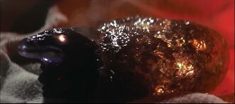 Baby Barugon in Gamera vs. Barugon