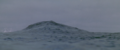 Godzillla swims underwater