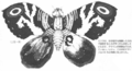 A top-down drawing of the imago Mothra based on Ohrai's artwork, used as the basis for the imago prop