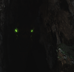 Rawa in the shadows
