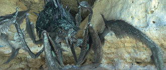 Nerscylla in Monster Hunter