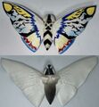 Mothra figure