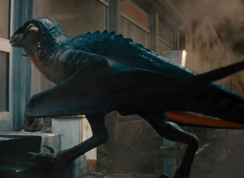 File:Winged Raptor.jpeg