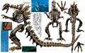 The Original Godzilla's Skeleton from Godzilla Against Mechagodzilla