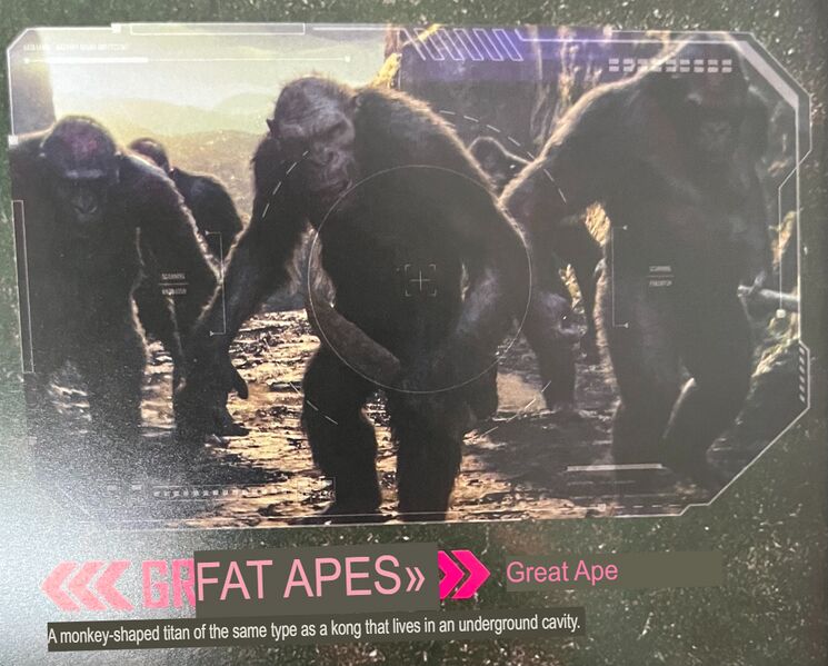 File:Fat apes lol.jpg