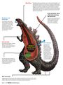 Anatomy of Shin Godzilla (translated into English)