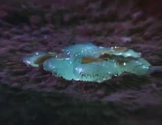 Jellar's original form in Zone Fighter