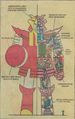 Red Ronin's anatomy from The Official Handbook of the Marvel Universe (vol. 2) #10