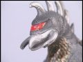 Gigan
