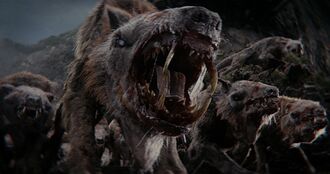 The Wart Dogs in Godzilla x Kong: The New Empire