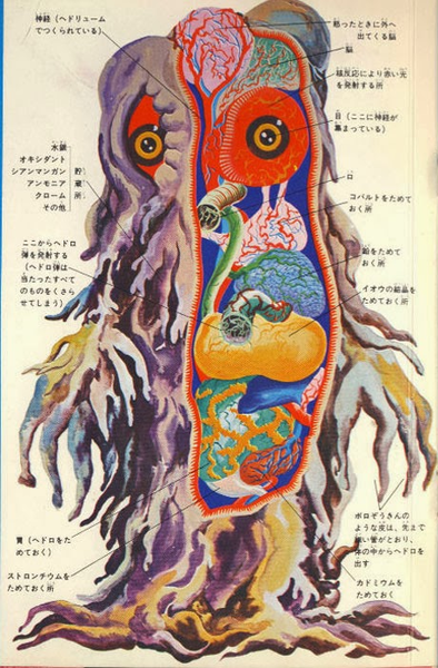 File:Hedorah Anatomy.png