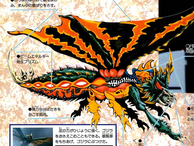 File:Battra biology.jpg