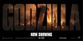 Godzilla Banner