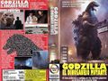 Argentinian Godzilla vs. Mothra VHS cover