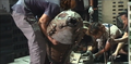 Special effects staff set up the female larva prop to spit silk at Godzilla.