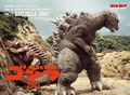 ✅Vol. 11: Godzilla 2001