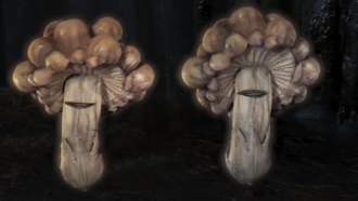 Matan and Tango laughing