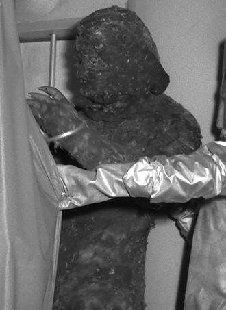 A Gamma alien leads Wangmagwi from its cell in Space Monster Wangmagwi