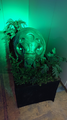 The female Mothra larva prop from Godzilla: Tokyo SOS on display in 2019