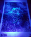 NYCC poster under a blacklight
