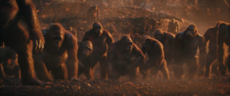 The Great Apes in Godzilla x Kong: The New Empire