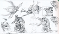 Gamera concept art by Mahiro Maeda, including rejected designs for Gamera's High Mobility flight mode