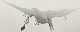 Rhamphorhynchus in Legend of Dinosaurs and Monster Birds