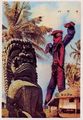 Cactus Man