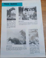 UK Destroy All Monsters press blocks