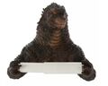 Hobby Lobby exclusive toilet paper roll holder