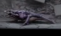 A Skull Spawn in Kong: Survivor Instinct