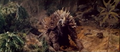 Anguirus