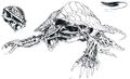 Concept art of a beta Gamera skeleton