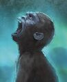 Kong weeping over his parents' deaths