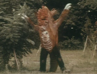 Red Rock in Go! Greenman