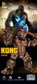 Kong