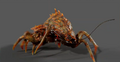 Endoswarmer model