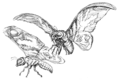 Mothra Imago concept art