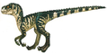 An infant V-Rex